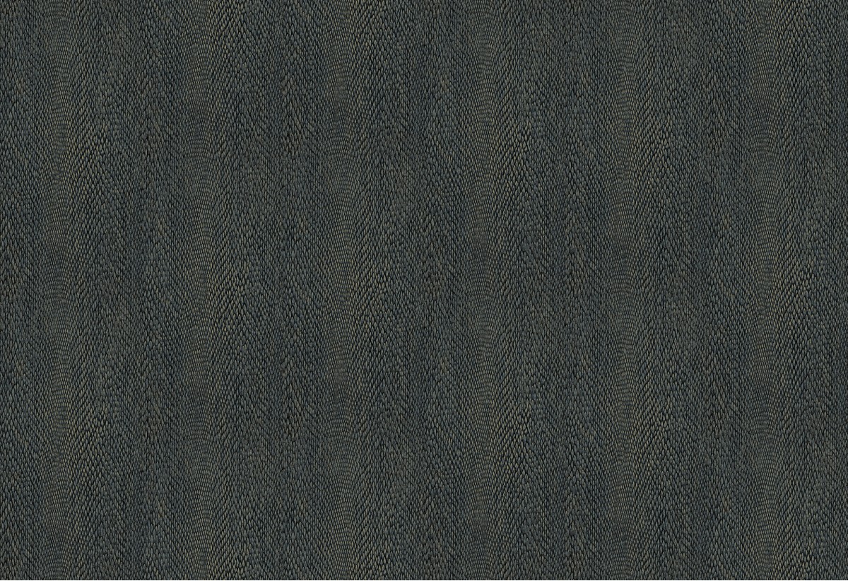 Leopard Walk 15335